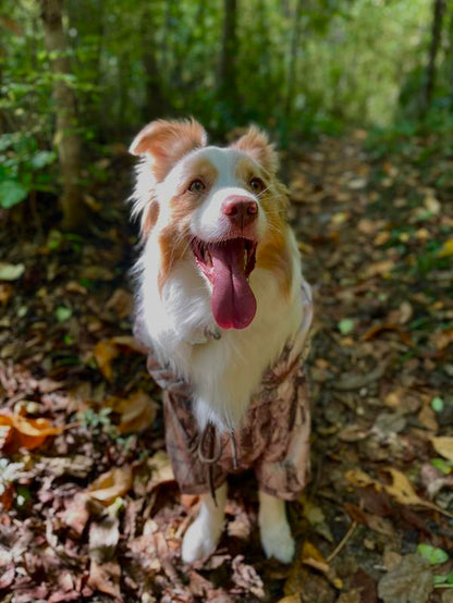 Furrypuppie Urban Camo Frenchie Dog Hoodie