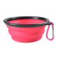 Collapsible Pet Bowl