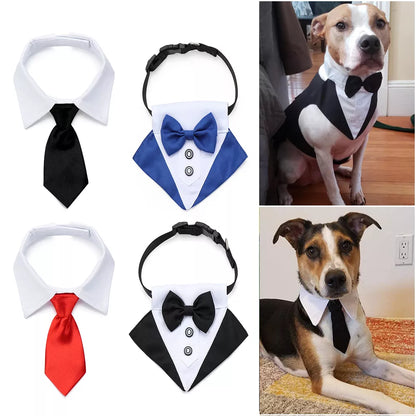Pet Bow Tie