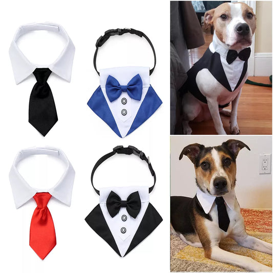 Pet Bow Tie