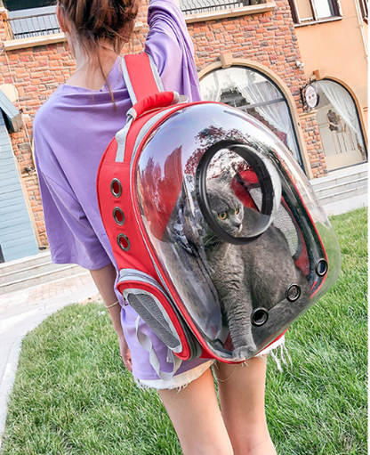 Bubble Pet Carrier