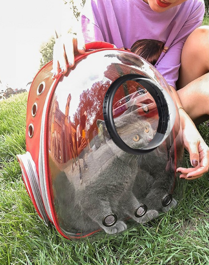 Bubble Pet Carrier