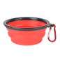 Collapsible Pet Bowl