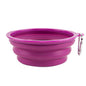 Collapsible Pet Bowl