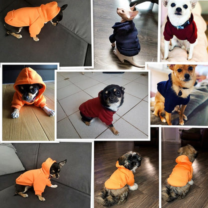 Cozy Pet Hoodie