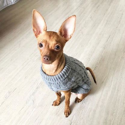 Knitted Pet Sweater