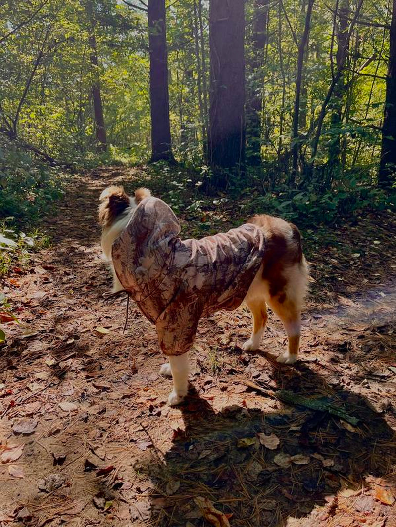 Furrypuppie Urban Camo Frenchie Dog Hoodie